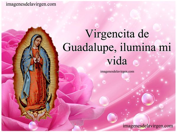 imagenes de la Virgen de Guadalupe