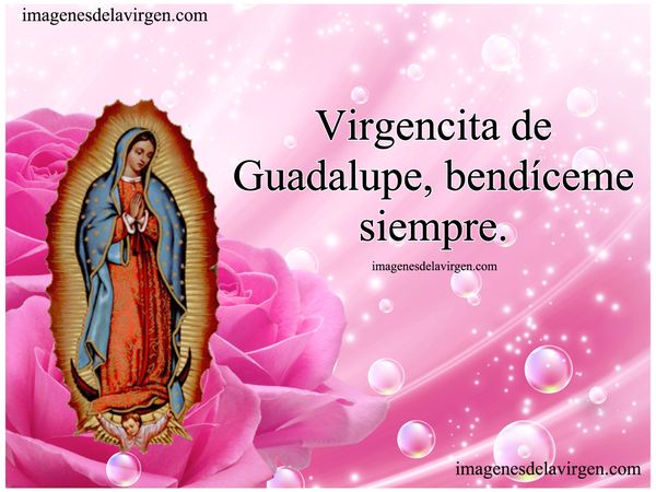 imagenes de la Virgen de Guadalupe