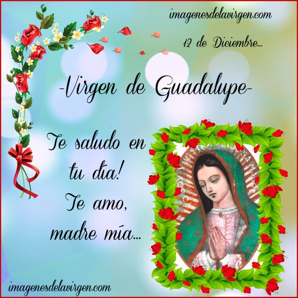 ✓Imágenes de la Virgen de Guadalupe 12 diciembre