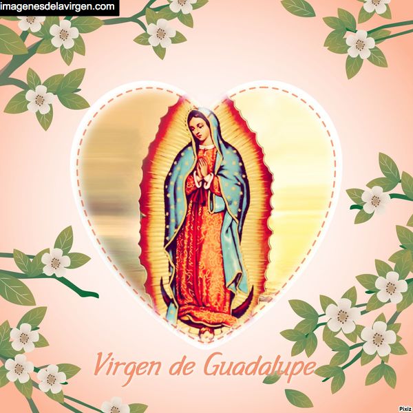 imagen estampita tarjeta virgen guadalupe