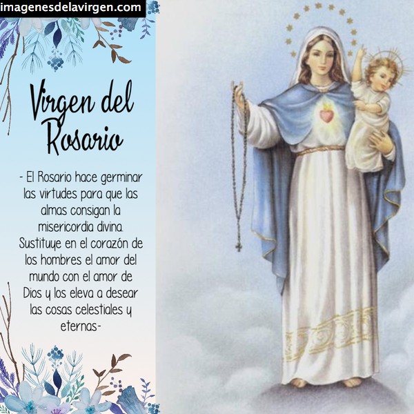 ✓Imágenes de la Virgen del Rosario para descargar gratis