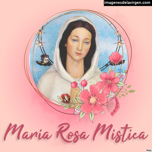 Virgen Rosa MÃ­stica