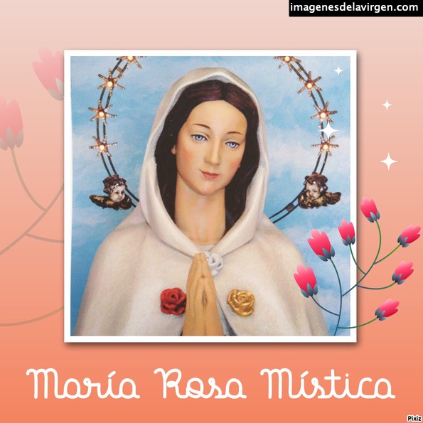 Virgen Rosa MÃ­stica